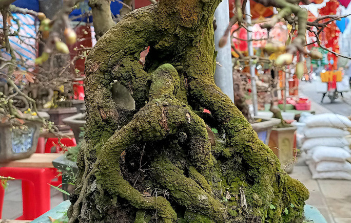 Tuy nhiên, năm nay dịch bệnh Covid-19 phức tạp, sức mua của người dân rất thấp