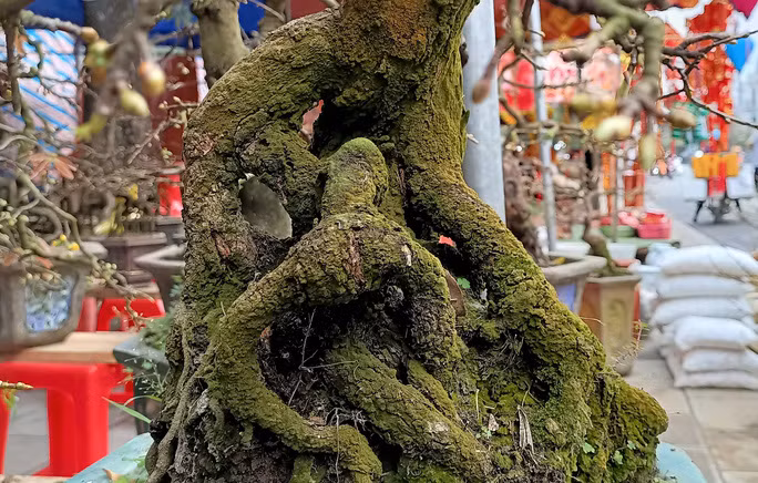 Tuy nhiên, năm nay dịch bệnh Covid-19 phức tạp, sức mua của người dân rất thấp