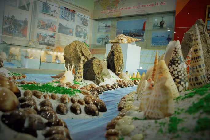  Đây là thành quả của hơn 15 năm tìm tòi, thu thập của nhà sưu tầm Phan Thanh Toại