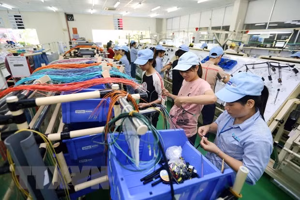 Tính đến ngày 11/12/2020, Việt Nam có 13 FTA đang thực hiện, 1 FTA đã ký nhưng chưa có hiệu lực, 1 FTA đã kết thúc đàm phán và 2 FTA đang đàm phán. (Ảnh minh họa/TTXVN)