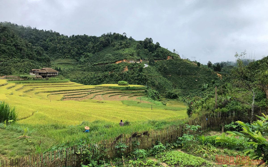 Từ homestay nhìn ra hướng đồi mâm xôi.