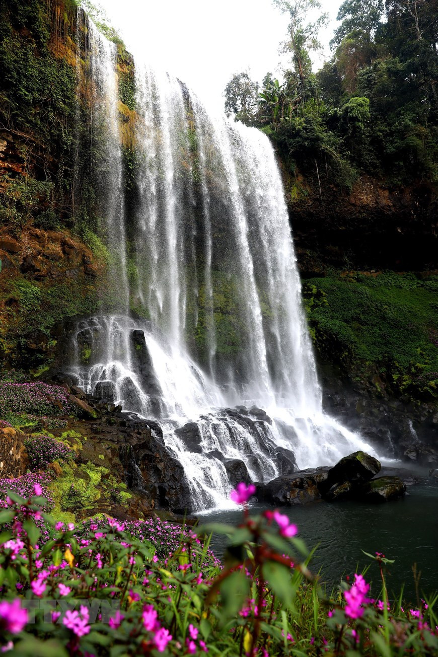 Lâm Đồng: Ngỡ ngàng trước vẻ đẹp hoang sơ của thác Đambri ảnh 7 Thác Dambri đến hiện tại vẫn luôn giữ được nét đẹp tự nhiên, không bị khai thác quá mức.