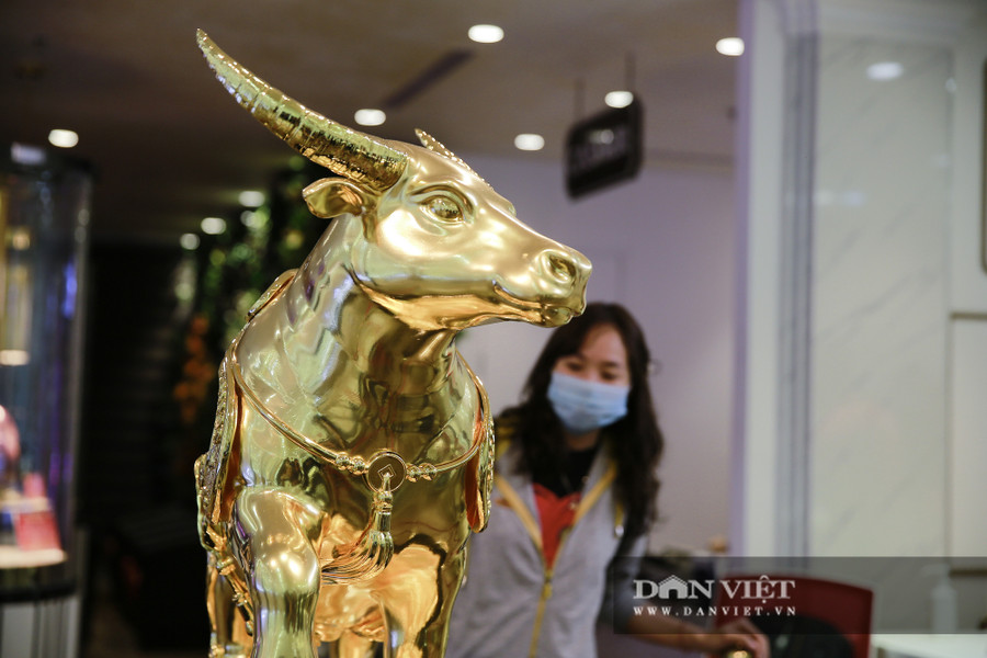 Chị Nguyễn Ngọc Anh (quận Đống Đa) cho biết, tới DOJI mua vàng lấy may ngày vía Thần Tài, không ngờ lại được chiêm ngưỡng báu vật trâu vàng khủng đến như vậy. Chị Nguyễn Ngọc Anh (quận Đống Đa) cho biết, tới DOJI mua vàng lấy may ngày vía Thần Tài, không ngờ lại được chiêm ngưỡng báu vật trâu vàng khủng đến như vậy.