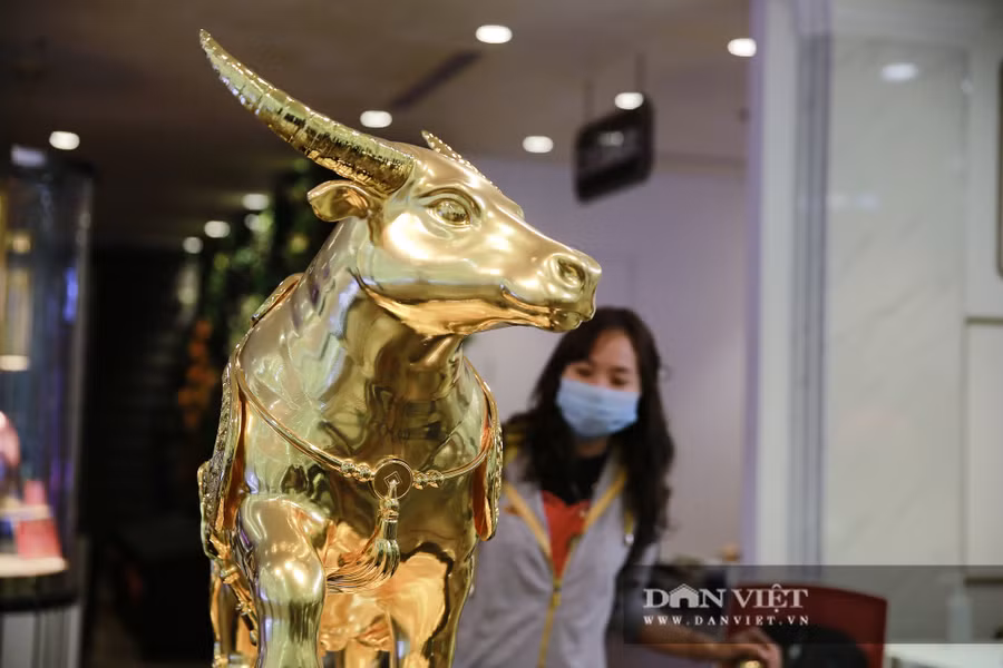 Chị Nguyễn Ngọc Anh (quận Đống Đa) cho biết, tới DOJI mua vàng lấy may ngày vía Thần Tài, không ngờ lại được chiêm ngưỡng báu vật trâu vàng khủng đến như vậy. Chị Nguyễn Ngọc Anh (quận Đống Đa) cho biết, tới DOJI mua vàng lấy may ngày vía Thần Tài, không ngờ lại được chiêm ngưỡng báu vật trâu vàng khủng đến như vậy.