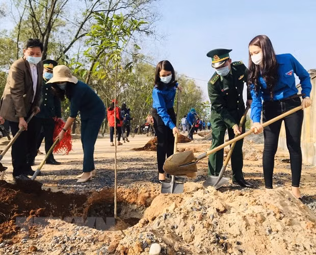 Thanh niên Quảng Trị hưởng ứng Tết trồng cây. (Ảnh: Hồ Cầu/TTXVN)