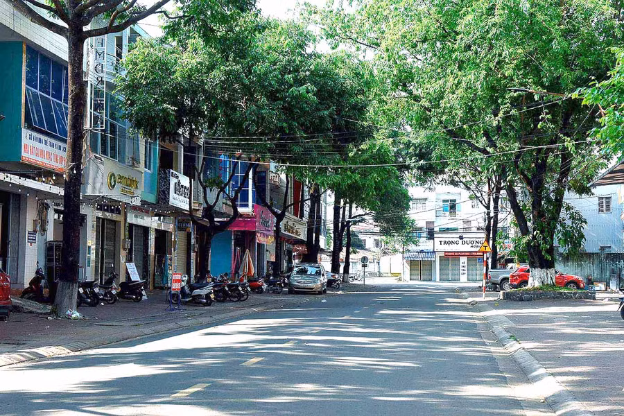 Đường Nguyễn Thái Học (TP. Pleiku). Ảnh: Đức Thụy