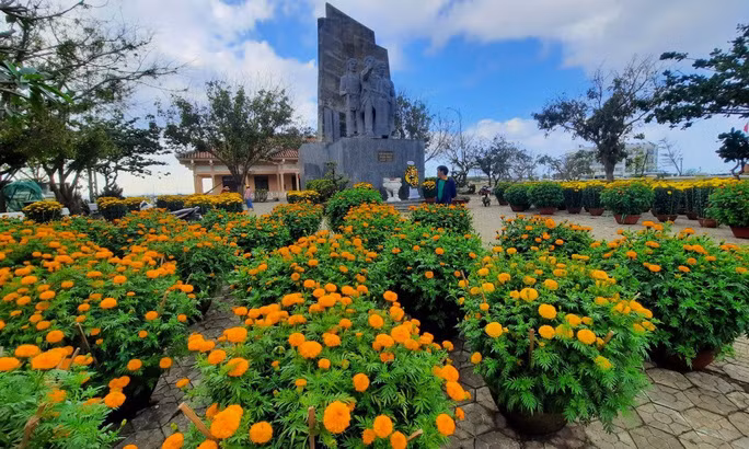 Hàng ngàn chậu hoa được vận chuyển từ đất liền ra Lý Sơn. Ảnh: X.Thọ