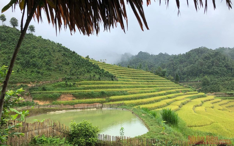 Khung cảnh nhìn từ chòi ăn trưa.