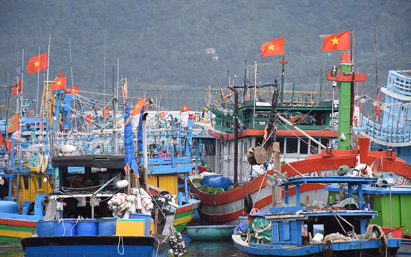  Sắc đỏ lá cờ Tổ quốc trên tàu cá đang neo đậu tại Âu thuyền cảng cá Thọ Quang.