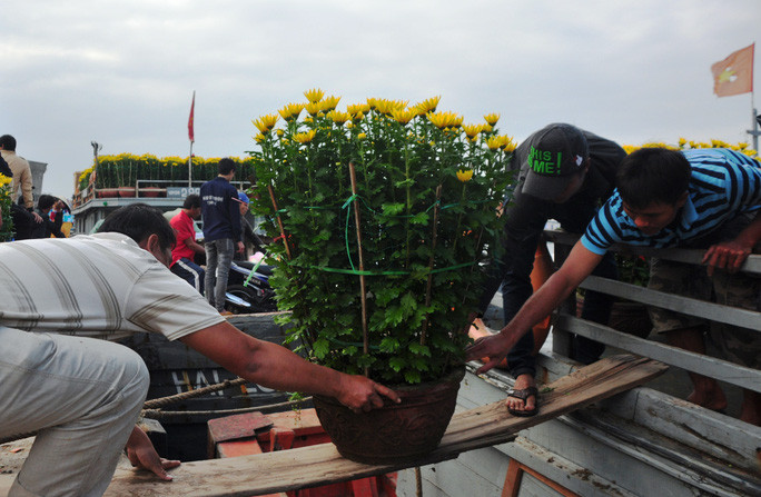 Đưa hoa xuống tàu. Ảnh: T.Trực