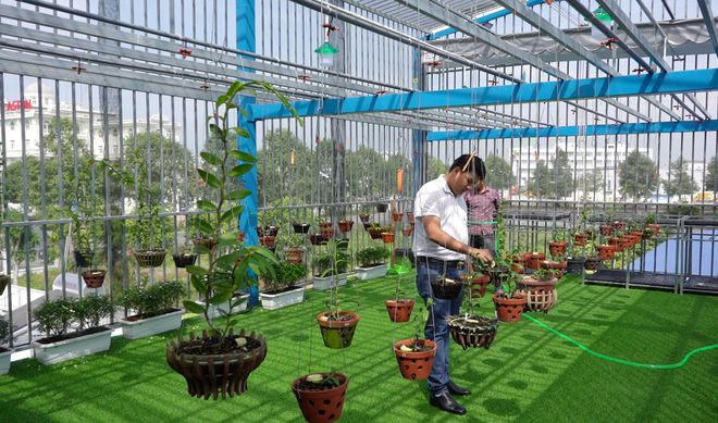  Vườn lan đột biến được trang bị đầy đủ thiết bị hiện đại - ẢNH: DUY TÂN