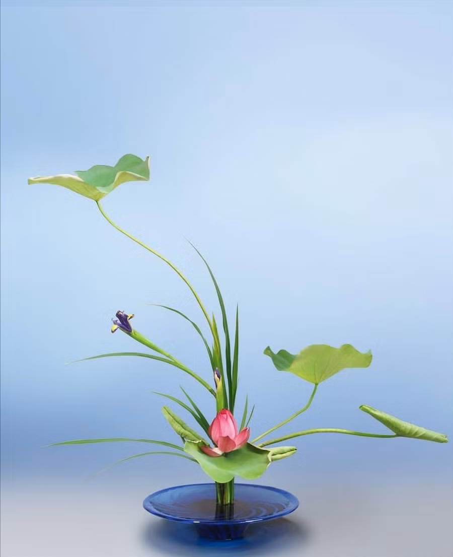 Cắm hoa theo phong cách Ikebana đón Tết.