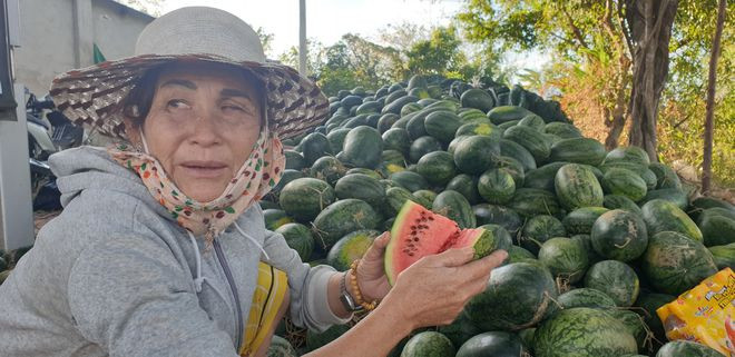 Sản phẩm dưa hấu Tết không ai mua ẢNH: THIỆN NHÂN