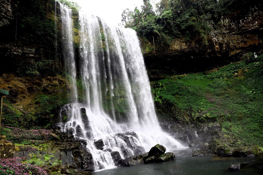 Lâm Đồng: Ngỡ ngàng trước vẻ đẹp hoang sơ của thác Đambri ảnh 15 Thác có chiều cao hơn 60m.