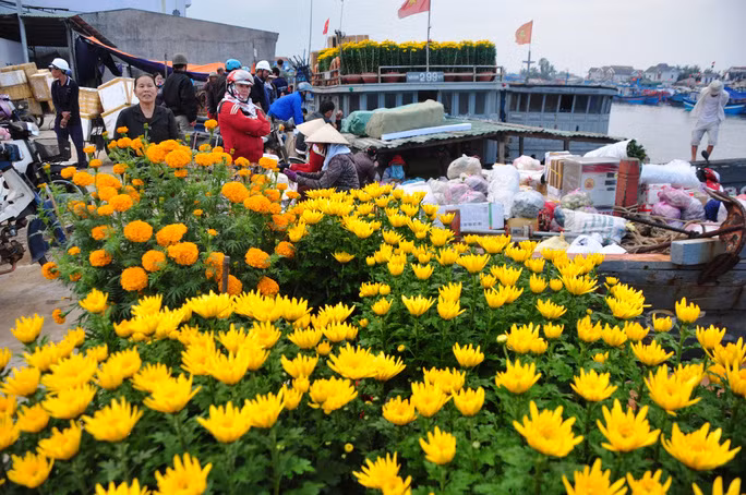  Sắc Xuân tràn ngập khắp nơi. Ảnh: T.Trực