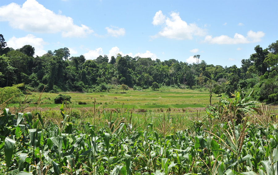 Cũng theo ông Thành, Tây Sơn Thượng đạo không chỉ là nơi có vị trí chiến lược cơ động mà còn có đất đai màu mỡ, sản vật phong phú, khí hậu ôn hòa, thuận lợi cho phát triển trồng trọt và chăn nuôi, đảm bảo được quân lương. Thêm vào đó, nơi đây còn có nhiều voi lớn, ngựa hay, mỏ sắt, diêm tiêu... sẵn sàng cung cấp phương tiện cần thiết cho cuộc chiến lâu dài. Tất cả những điều kiện ấy đều đã được anh em nhà Tây Sơn tận dụng triệt để cho việc xây dựng căn cứ trong những ngày đầu khởi nghĩa.