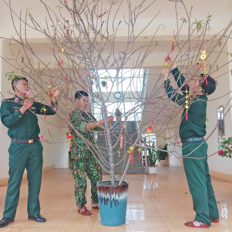 cán bộ, chiến sĩ Tiểu đoàn đang trang trí cành đào đón Tết