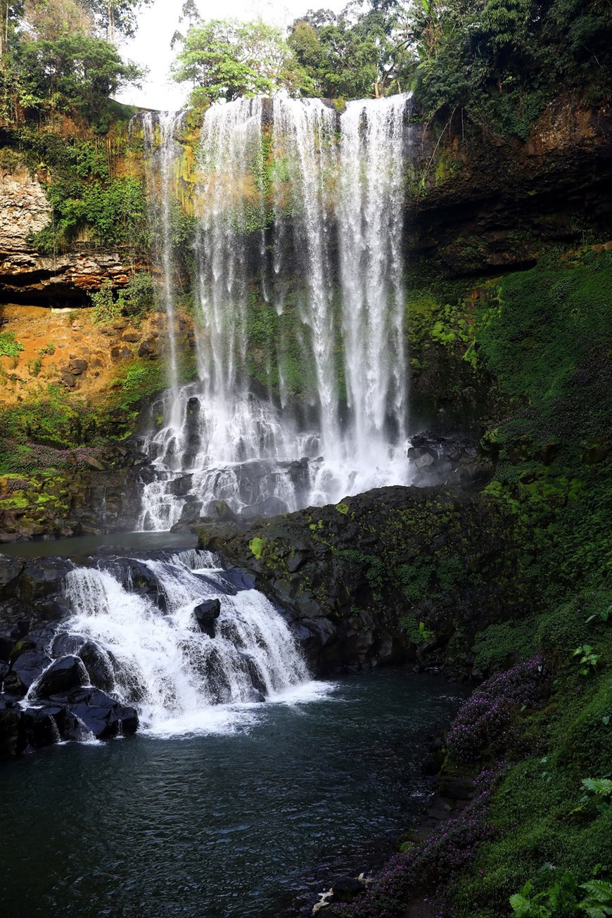 Lâm Đồng: Ngỡ ngàng trước vẻ đẹp hoang sơ của thác Đambri ảnh 1 Thác Đambri có độ cao hơn 60m, mặt thác rộng gần 30m là một danh thắng nổi tiếng của tỉnh Lâm Đồng, nằm cách trung tâm thành phố Bảo Lộc khoảng 18km, được nhiều du khách lựa chọn là điểm đến đầu tiên cho hành trình khám phá cao nguyên Lâm Viên.