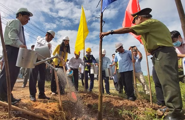 Bến Tre là địa phương đầu tiên trong cả nước phát động chương trình hưởng ứng sáng kiến trồng 1 tỷ cây xanh trong 5 năm tới của Thủ tướng Chính phủ, thiết thực triển khai Tết trồng cây. (Ảnh: Trần Thị Thu Hiền/TTXVN)