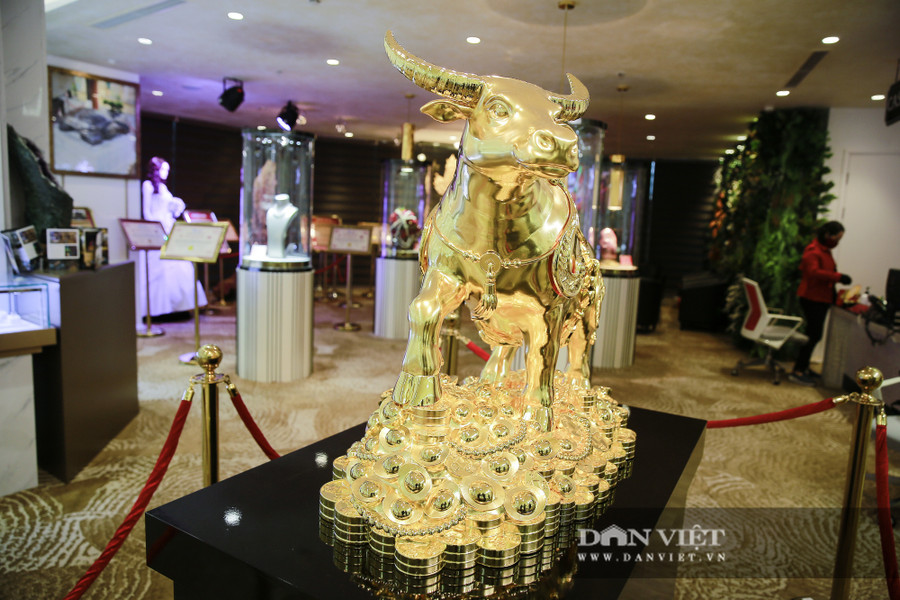 Nhiều người dân cảm thấy choáng ngợp bởi giá trị và vẻ đẹp tinh xảo của báu vật Kim Ngưu Vương Bảo. Nhiều người dân cảm thấy choáng ngợp bởi giá trị và vẻ đẹp tinh xảo của báu vật Kim Ngưu Vương Bảo.