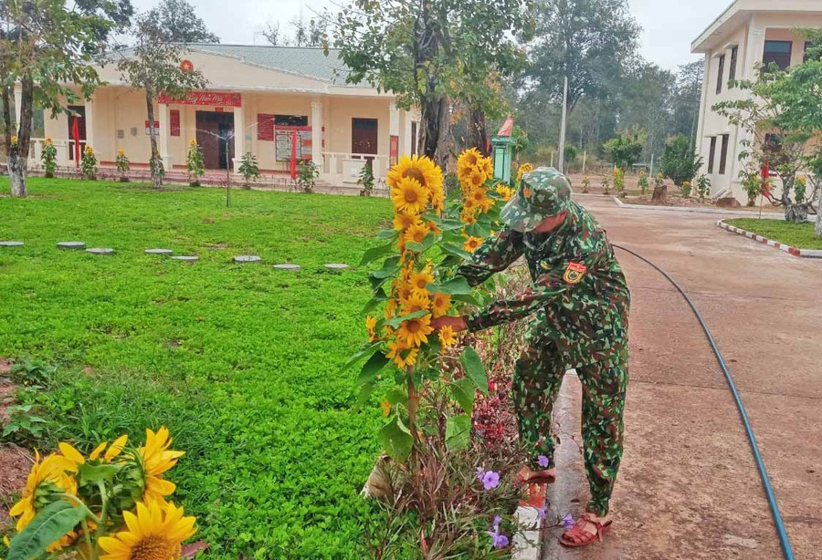 hoa hướng dương được bố trí ở khắp các trục đường trong khuôn viên Đồn Biên phòng Ia Pnôn