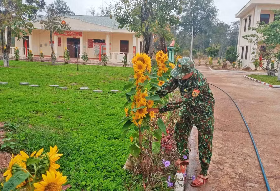hoa hướng dương được bố trí ở khắp các trục đường trong khuôn viên Đồn Biên phòng Ia Pnôn