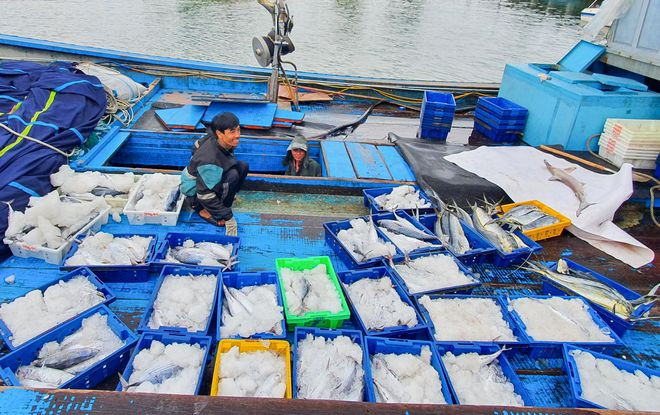 Không khí những ngày Tết Nguyên đán cận kề tại âu thuyền Thọ Quang nhộn nhịp, tàu đánh cá nối đuôi nhau cập bờ, ngư dân hối hả để kịp về nhà đón giao thừa - ẢNH: HUY ĐẠT Không khí những ngày Tết Nguyên đán cận kề tại âu thuyền Thọ Quang nhộn nhịp, tàu đánh cá nối đuôi nhau cập bờ, ngư dân hối hả để kịp về nhà đón giao thừa - ẢNH: HUY ĐẠT
