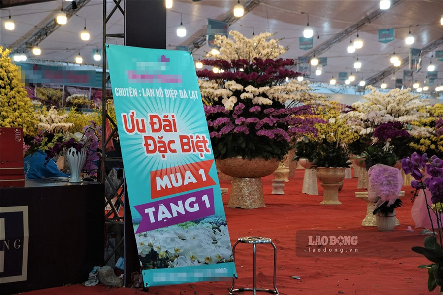 Lan hồ điệp là loài hoa luôn được người dân ưa chuộng mỗi dịp Tết, nhưng cũng chịu cảnh vắng người mua. Để hút khách, cửa hàng này thậm chí áp dụng ưu đãi mua 1 tặng 1. Ảnh: Tùng Giang.
