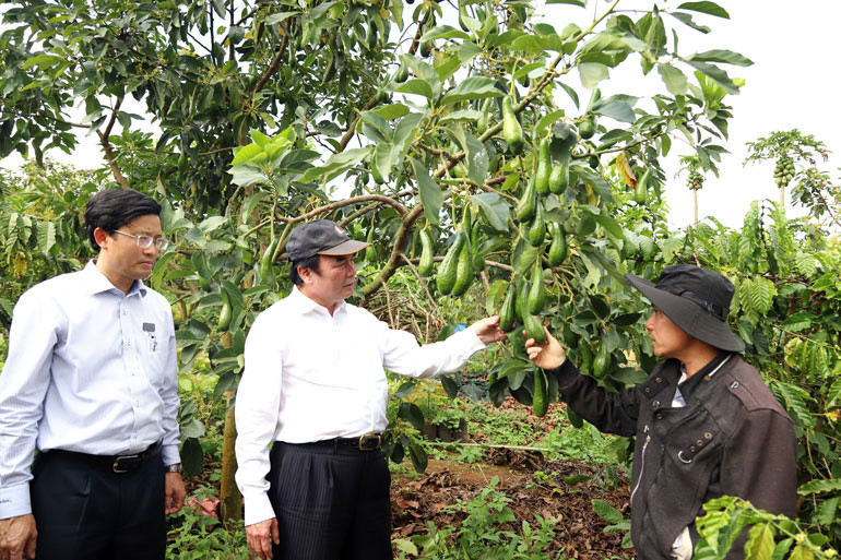 Anh Lưu Xuân Phúc (phải) thôn 9, xã Lộc Ngãi (huyện Bảo Lâm, tỉnh Lâm Đồng trúng hàng trăm triệu đồng nhờ 