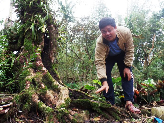 Sau nhiều năm miệt mài nghiên cứu, anh Chí đã cho được hạt A’reeng nảy mầm ẢNH: NGUYÊN THỌ