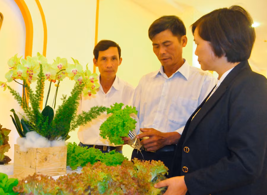 Tham quan mô hình phát triển nông nghiệp ứng dụng công nghệ cao. Ảnh: Trần Dung