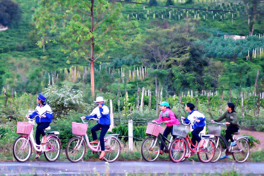 Theo nhiều công ty du lịch, việc tổ chức tour cho học sinh khó hơn rất nhiều so với các tour thông thường. Ảnh: Đức Thụy Theo nhiều công ty du lịch, việc tổ chức tour cho học sinh khó hơn rất nhiều so với các tour thông thường. Ảnh: Đức Thụy