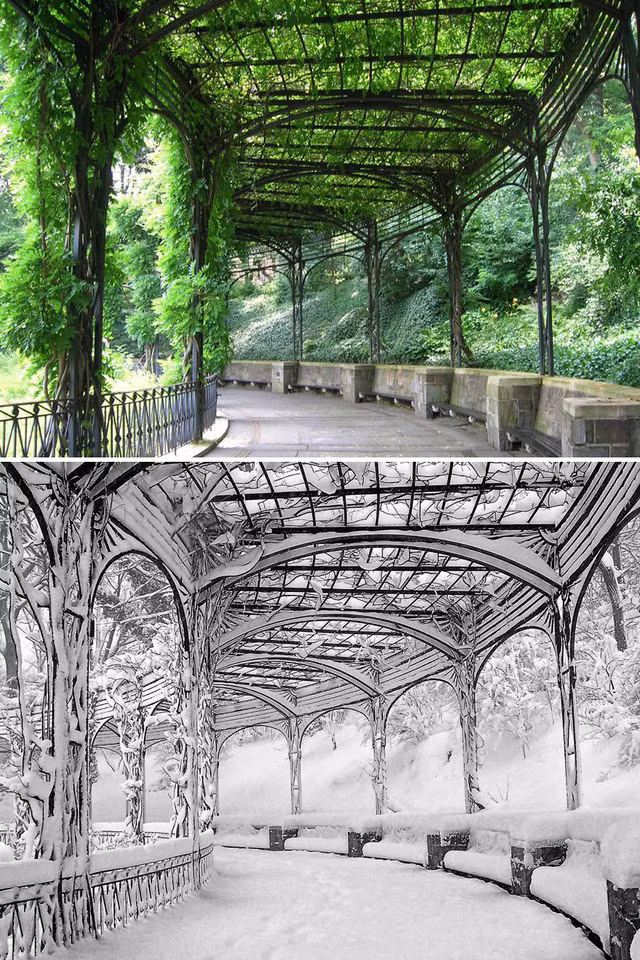 Du khách không khỏi ngợp mắt khi tới Pergola, khu vườn Conservatory nằm trong công viên Central, New York, Mỹ. Vào hè, nơi này là lối đi rợp bóng cây xanh mát, thì đông tới, tuyết trắng phủ kín lối đi.