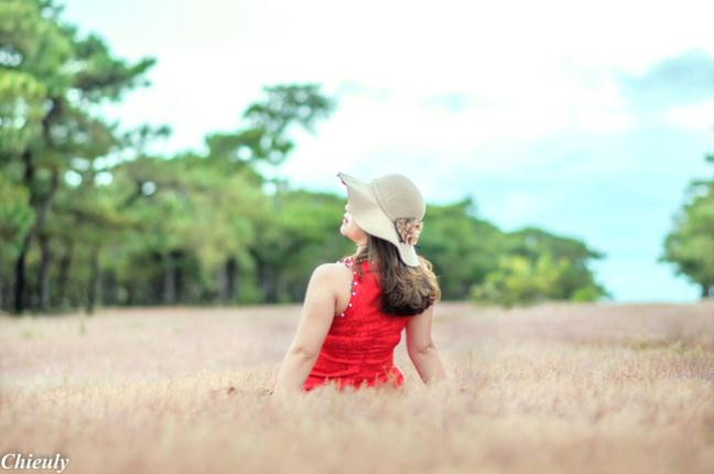 Cỏ hồng như thảm lụa.