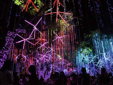 Vườn Ayala Triangle, Manila, Philippines được coi như thiên đường dưới hạ giới với nhiều loại thực vật đa dạng. Đến Giáng sinh, ngôi vườn được trang hoàng đèn led lấp lánh như lạc vào cõi tiên.