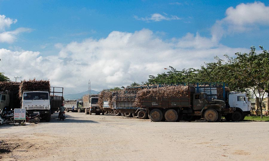 Khoảng 80% lượng mía hư hỏng đã được tập kết về trước Nhà máy chờ ép. Ảnh: H.T Khoảng 80% lượng mía hư hỏng đã được tập kết về trước Nhà máy chờ ép. Ảnh: H.T