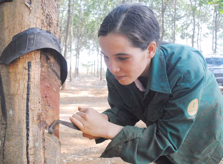  Chị Siu Một là điển hình vượt khó làm giàu trong công nhân. Ảnh: H.Đ.T