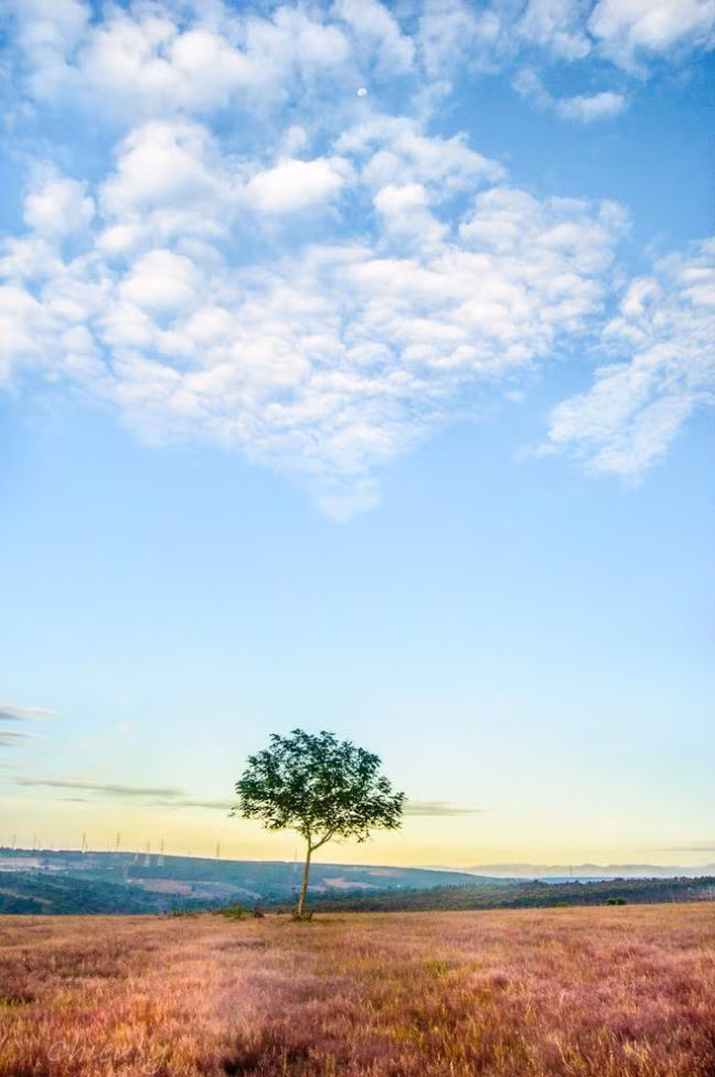  Một góc phố núi Pleiku bình yên.