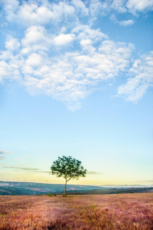  Một góc phố núi Pleiku bình yên.