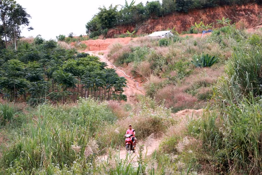 Người dân chê đường đất thủy điện làm xa, ngoằn ngoèo và dốc rất khó đi, nhất là vào mùa mưa. Ảnh: Q.T