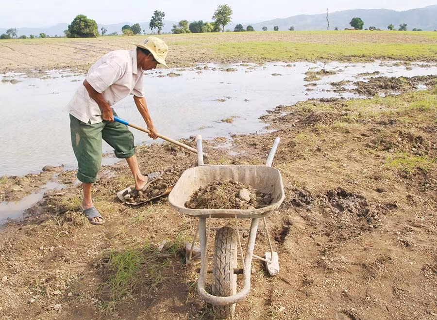  Già Reng cặm cụi dọn đá trên rẫy nhà mình. Ảnh: V.N