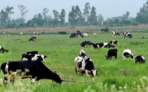 Ảnh minh họa Ảnh minh họa