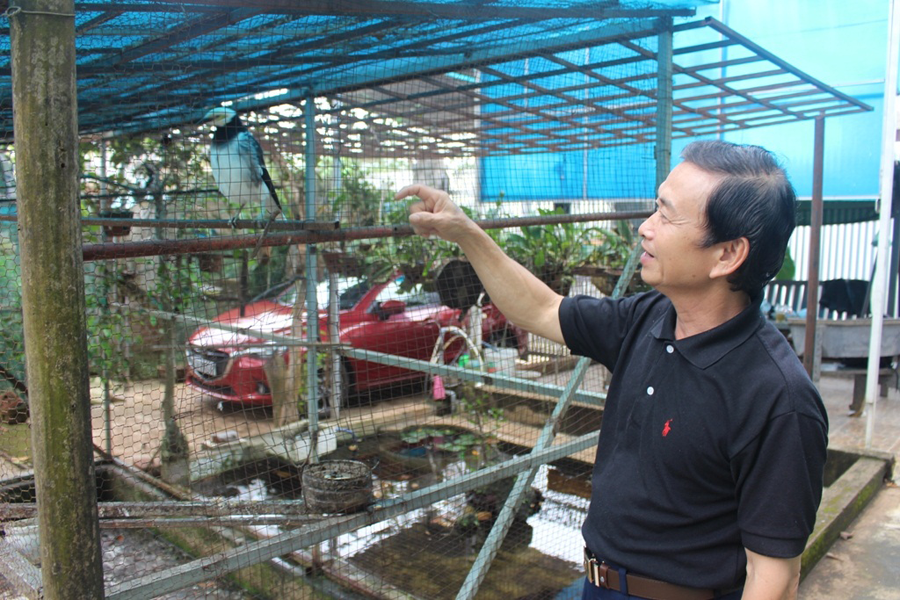 Với ông Phan Ngọc Vượng, chăm sóc chim cảnh vừa là niềm vui, vừa mang lại thu nhập. Ảnh: P.L Với ông Phan Ngọc Vượng, chăm sóc chim cảnh vừa là niềm vui, vừa mang lại thu nhập. Ảnh: P.L