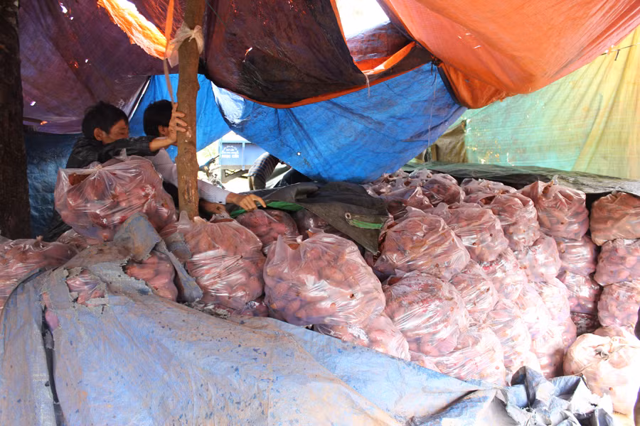 Ảnh: N.D Ảnh: N.D