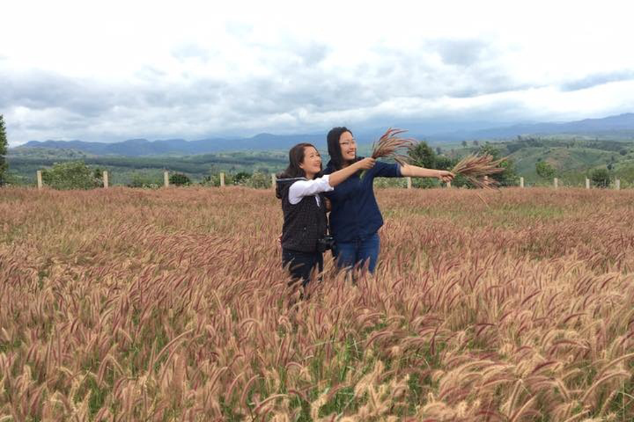 Những đồng cỏ mênh mông cũng trở thành những địa chỉ ngắm cảnh hấp dẫn vào mùa khô. Ảnh: H.N