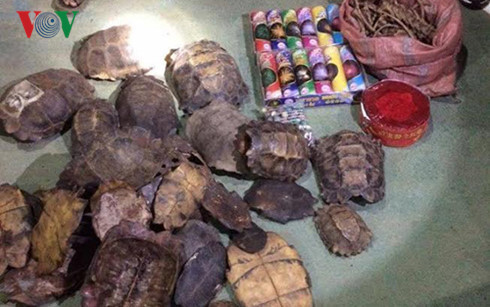 Phát hiện nhiều hàng cấm như xương động vật, gỗ đinh hương, pháo nổ được ngụy trang dưới nhiều lớp phế liệu. Phát hiện nhiều hàng cấm như xương động vật, gỗ đinh hương, pháo nổ được ngụy trang dưới nhiều lớp phế liệu.