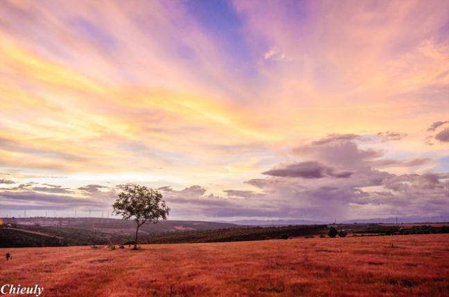 Thảo nguyên cỏ hồng bao la, cho ta cảm giác bình yên, tự tại giữa cuộc sống bon chen