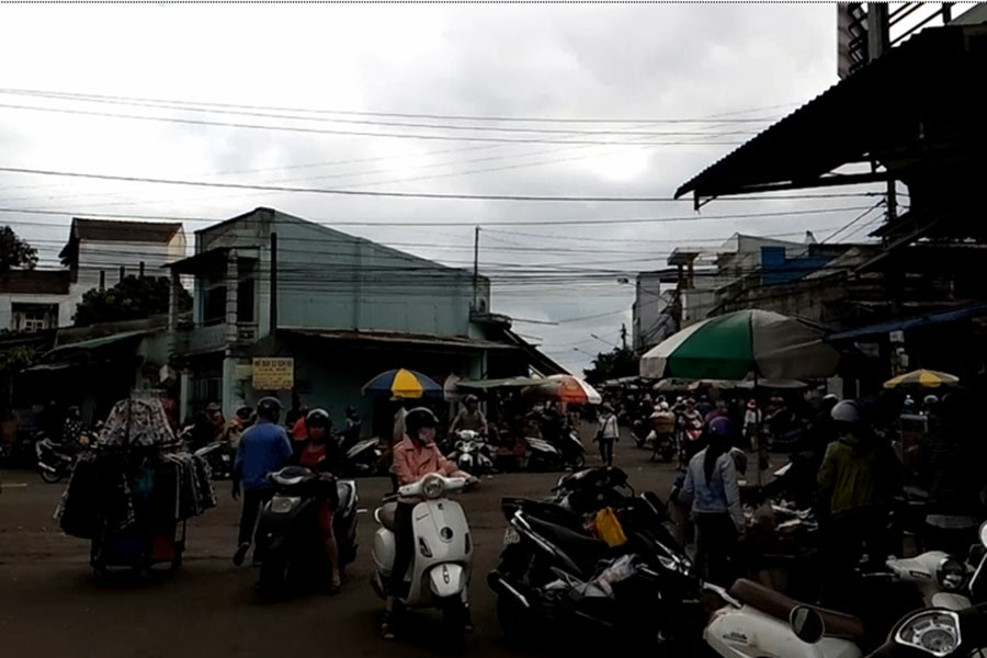 Ảnh: Phan Mạnh Phàn Ảnh: Phan Mạnh Phàn