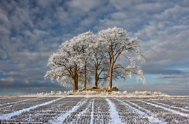 Cánh đồng trong màn tuyết mờ ảo của mùa đông trắng ở Stirlingshire, Scotland. Cánh đồng trong màn tuyết mờ ảo của mùa đông trắng ở Stirlingshire, Scotland.