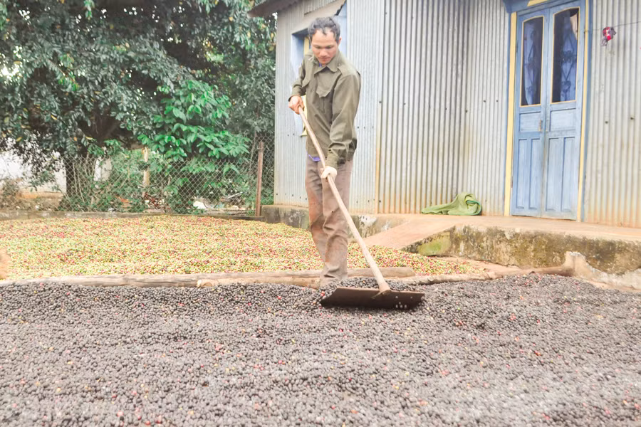 Anh Rcom El luôn đi đầu trong phong trào thanh niên phát triển kinh tế. Ảnh: Mai Ka